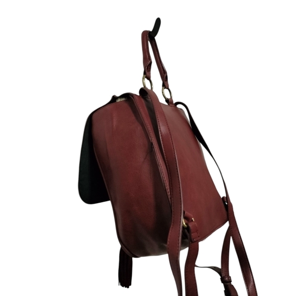 American Eagle Outfitters Burgundy and Dark Brown Backpack main image 10